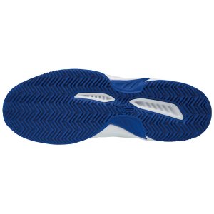 Mizuno Break Shot 2 CC Παπουτσια Τενις Ανδρικα - Ασπρα/Μπλε
